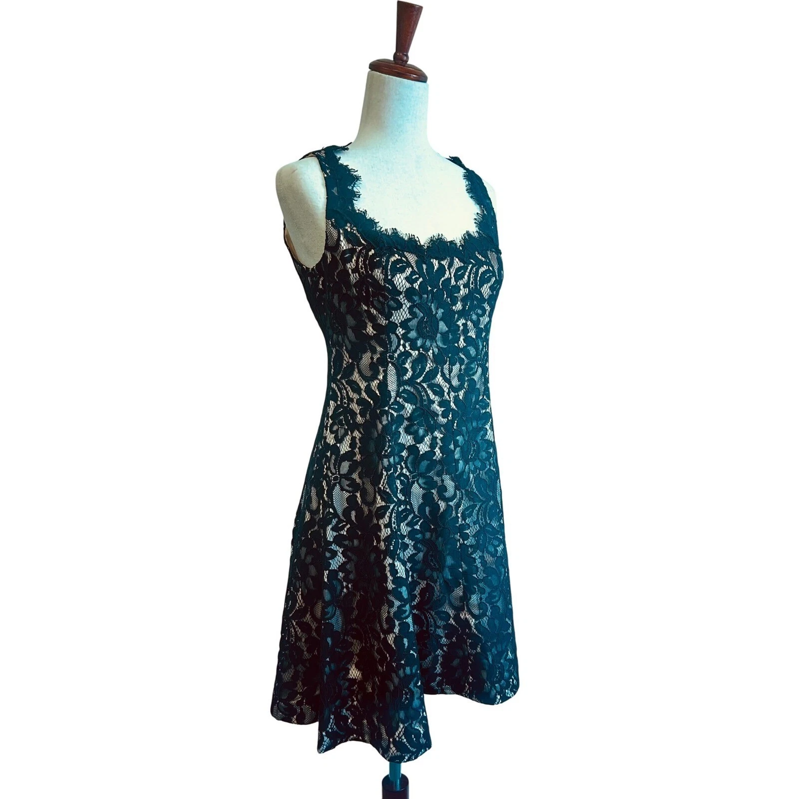 Eliza J Lace Dress Cocktail Party Sleeveless Black Nude Lined Size 6