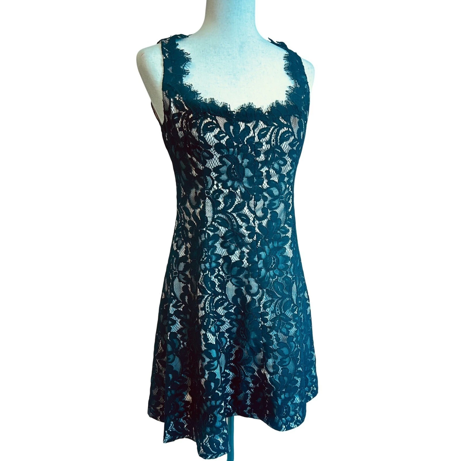 Eliza J Lace Dress Cocktail Party Sleeveless Black Nude Lined Size 6 - Image 2