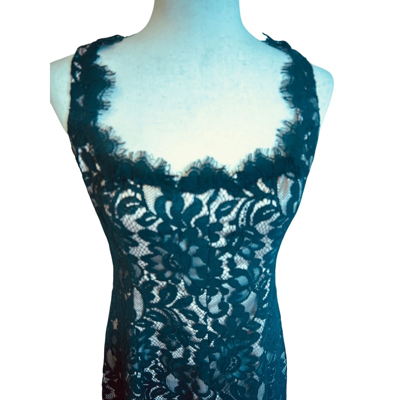 Eliza J Lace Dress Cocktail Party Sleeveless Black Nude Lined Size 6 - Image 3