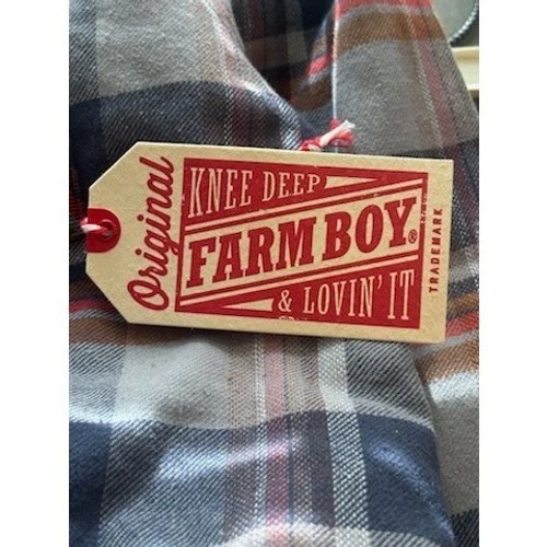 Farm Boy Men's Size Large Red Blue Plaid Flannel Lined Hoodie Shirt Jacket Top - Image 6